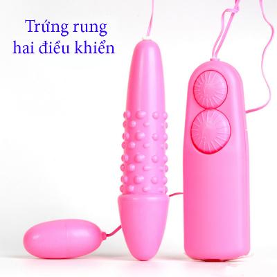 Nơi bán Trứng rung 2 điều khiển